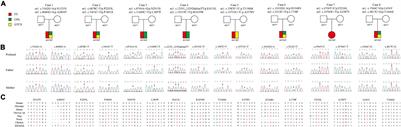 Recessive PKD1 Mutations Are Associated With Febrile Seizures and Epilepsy With Antecedent Febrile Seizures and the Genotype-Phenotype Correlation